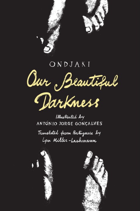 Cover image for Our Beautiful Darkness 