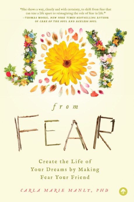 Cover image for Joy from Fear Create the Life of Your Dreams by Making Fear Your Friend