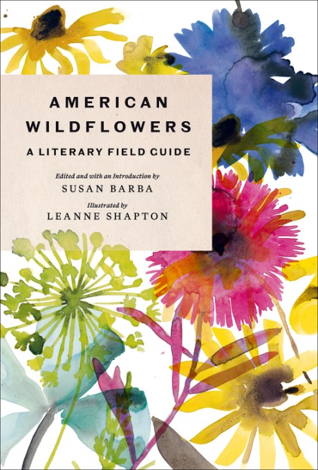Cover image for American Wildflowers: A Literary Field Guide