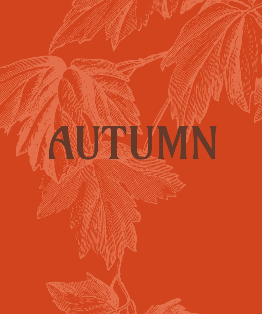 Cover for Autumn