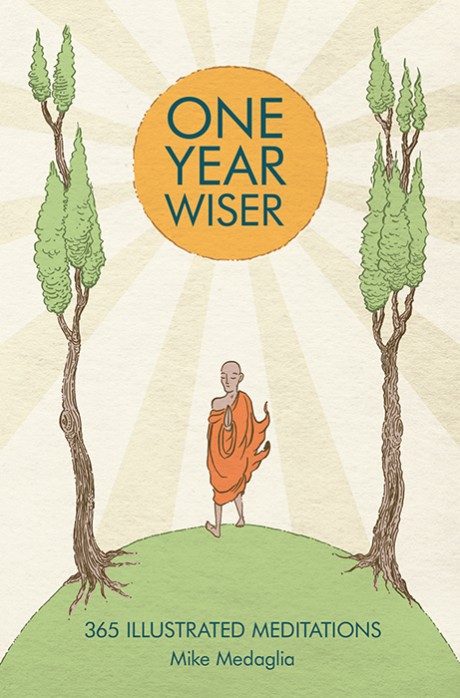Cover image for One Year Wiser: 365 Illustrated Meditations 