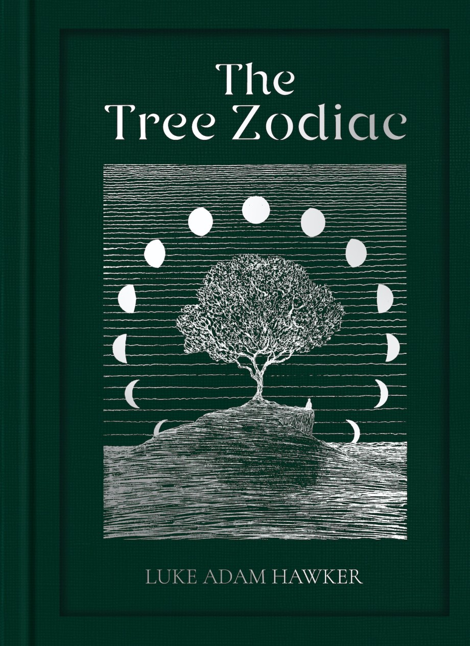Tree Zodiac 13 Trees for 13 Moons: Which Tree Are You?