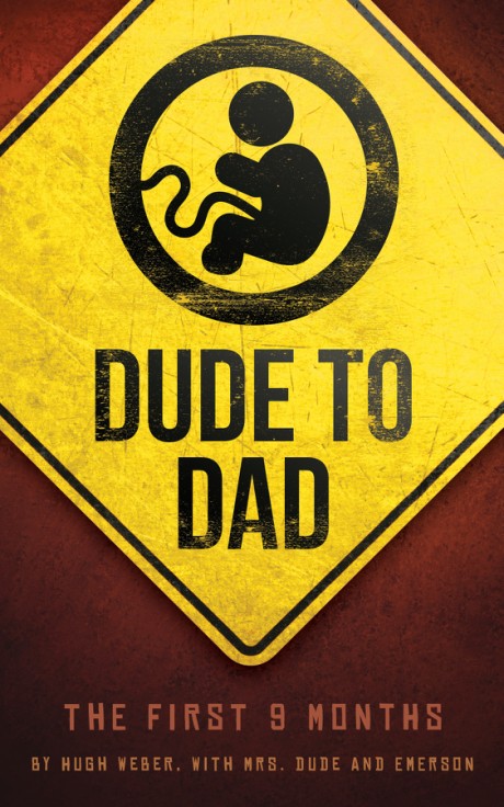 Cover image for Dude to Dad The First 9 Months