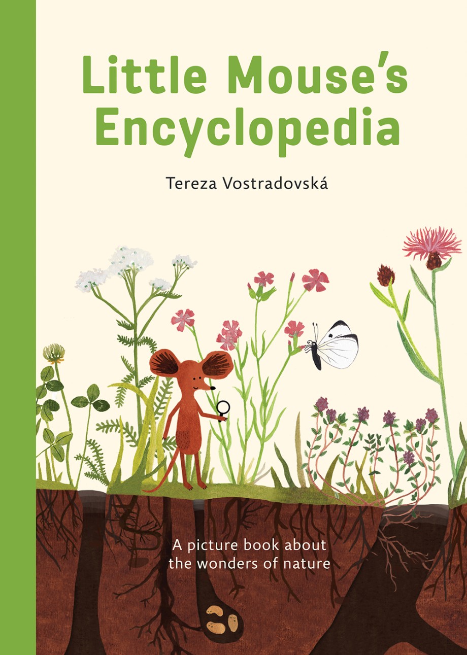 Exploring the Forest with Little Mouse's Encyclopedia - Xbox Wire