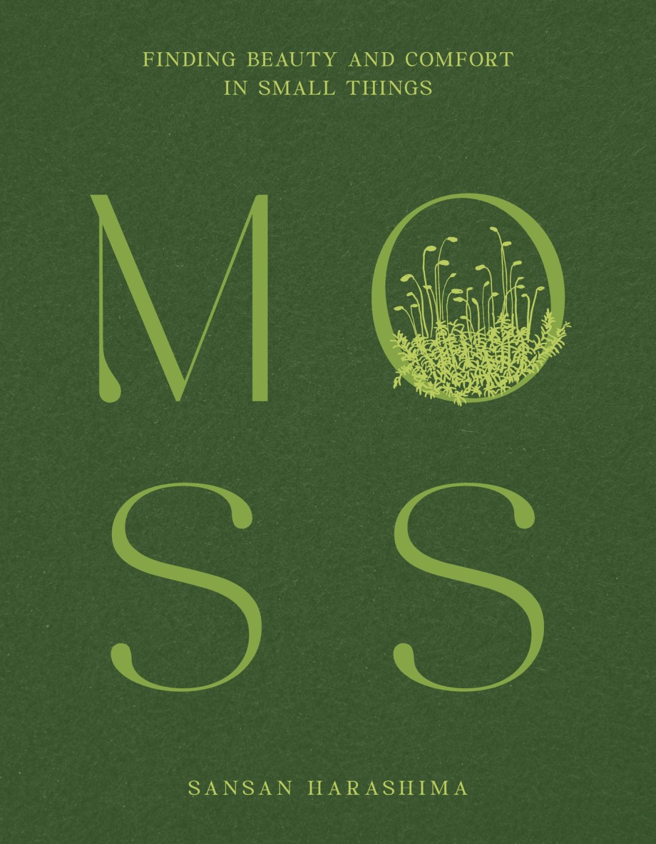 Moss Finding Beauty and Comfort in Small Things