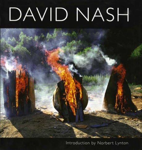 Cover image for David Nash 