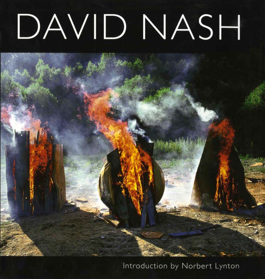 Cover for David Nash