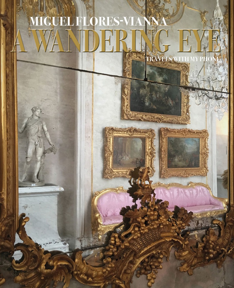 Cover for Wandering Eye Travels with My Phone
