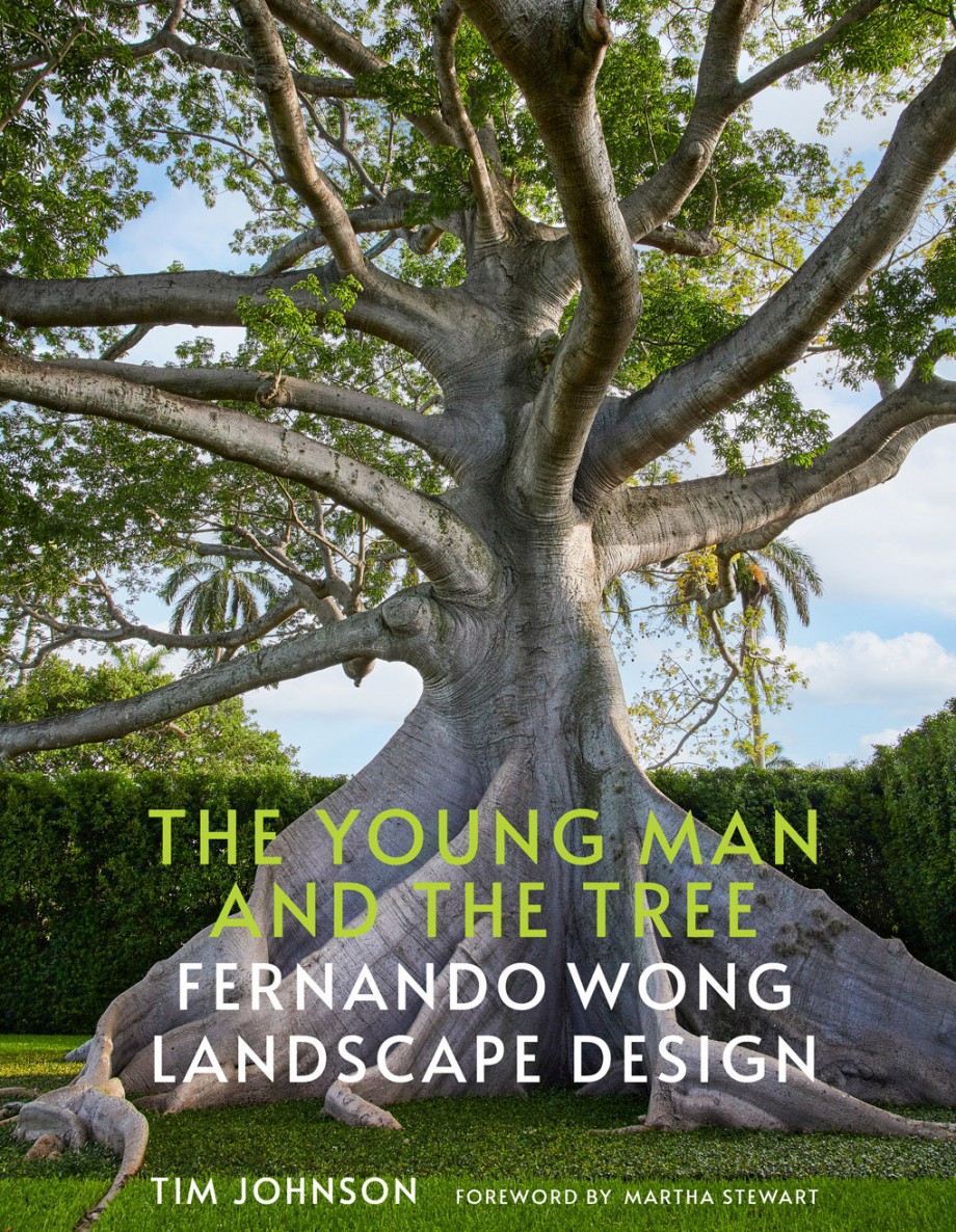 Young Man and the Tree Fernando Wong Landscape Design