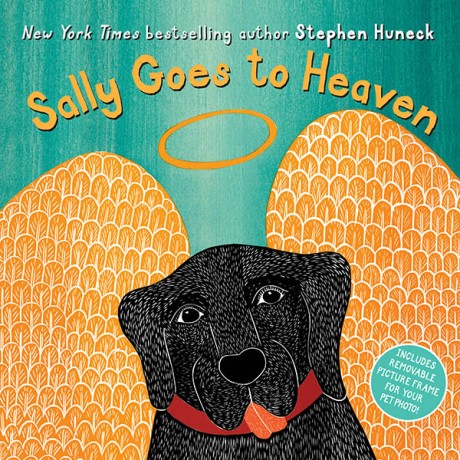Cover image for Sally Goes to Heaven 