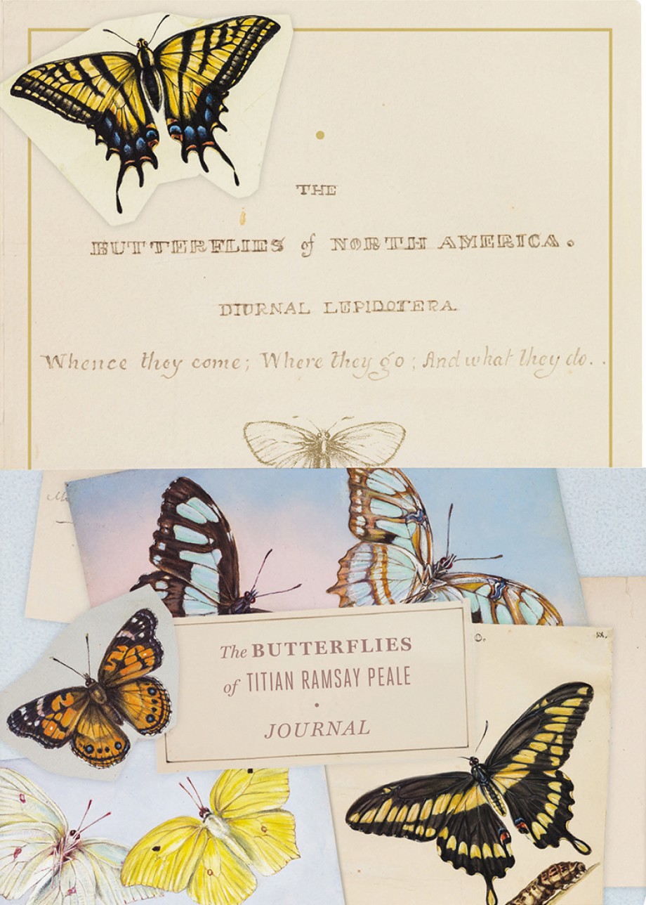 Butterflies of Titian Ramsay Peale Journal 