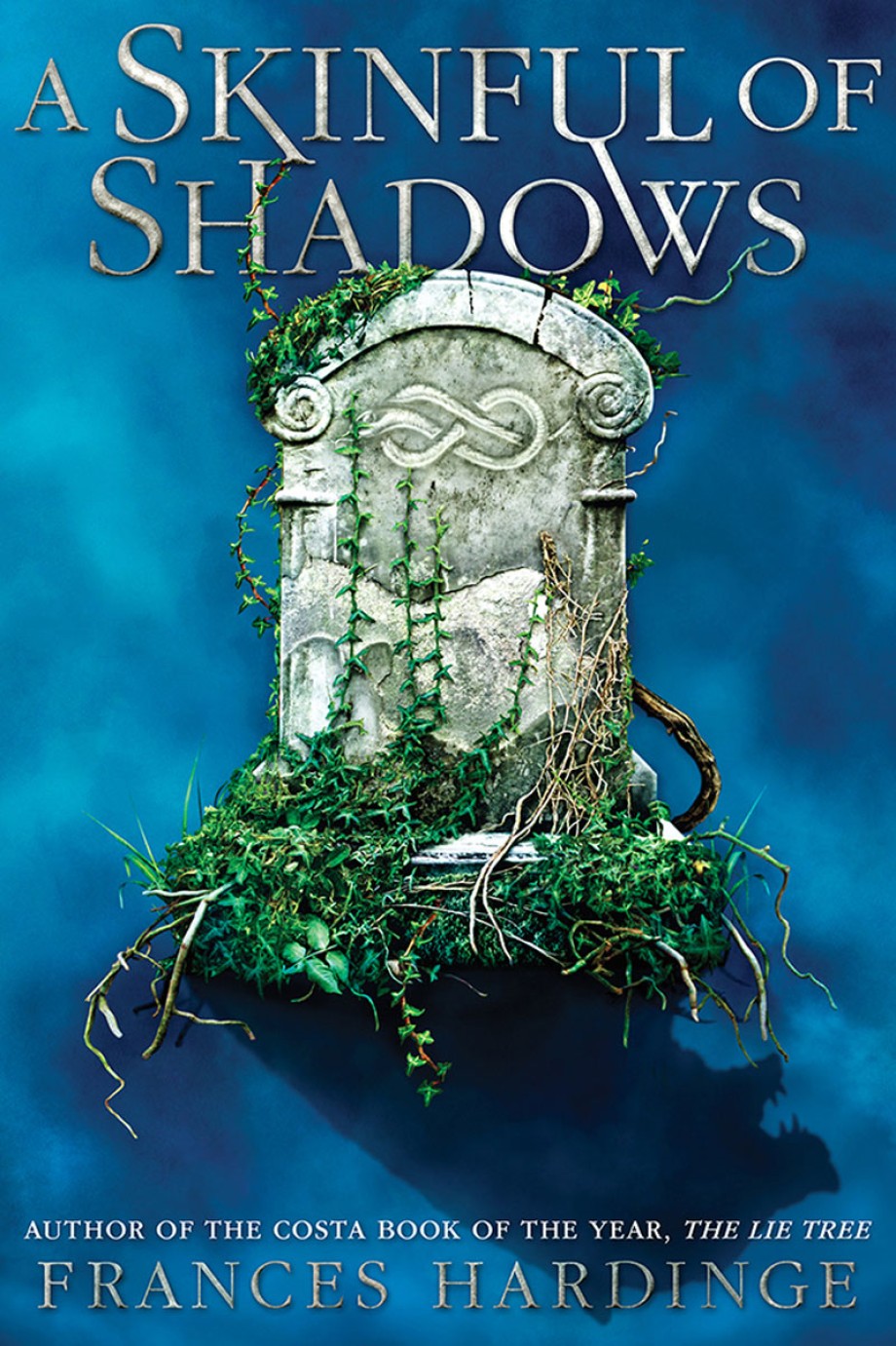 Cover for Skinful of Shadows