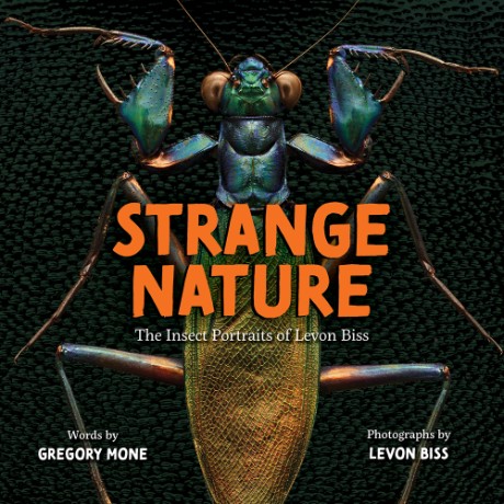 Cover image for Strange Nature The Insect Portraits of Levon Biss