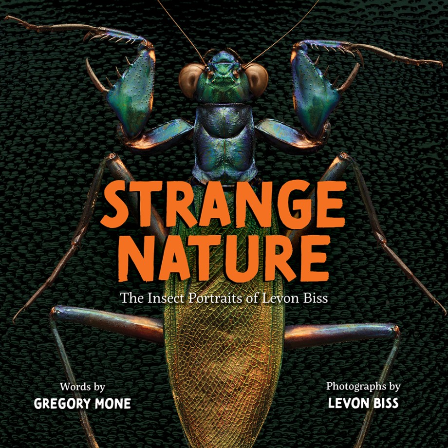 Cover for Strange Nature The Insect Portraits of Levon Biss