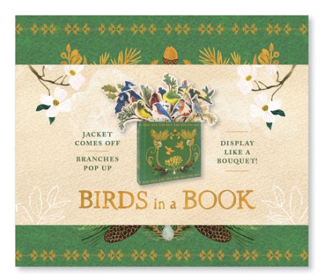 Cover image for Birds in a Book  (UpLifting Editions) Jacket Comes Off. Branches Pop Up. Display Like a Bouquet!