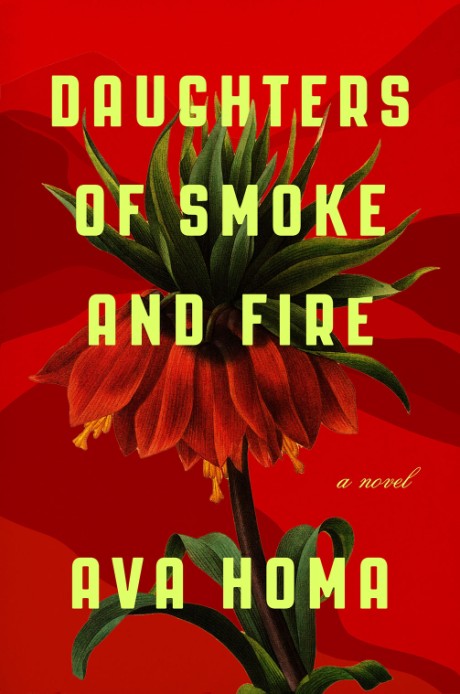 Cover image for Daughters of Smoke and Fire A Novel