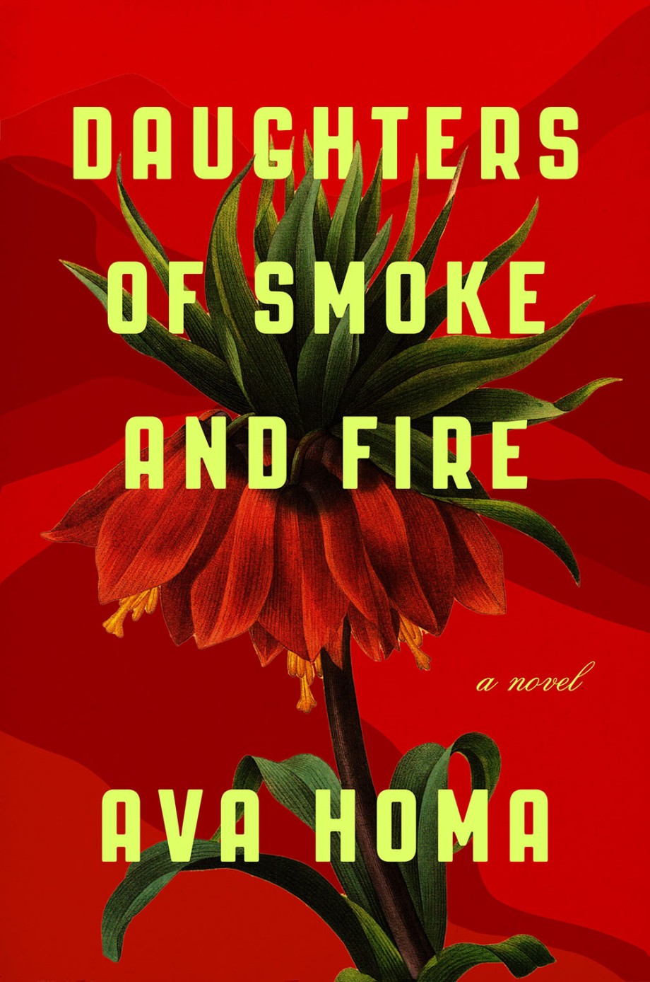 Cover for Daughters of Smoke and Fire A Novel