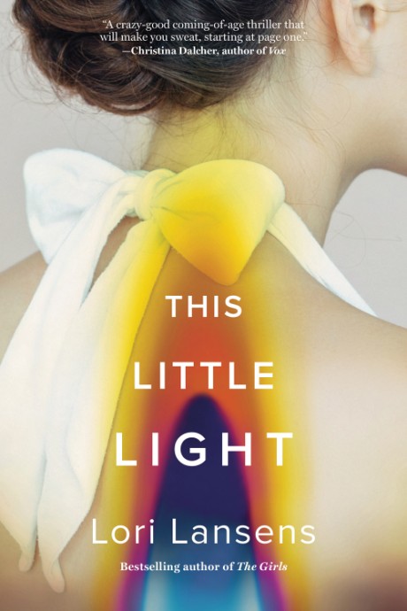 Cover image for This Little Light A Novel