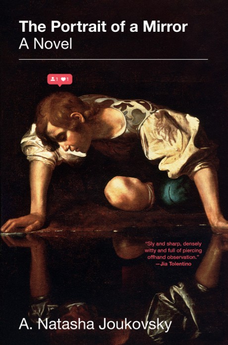 Cover image for Portrait of a Mirror A Novel