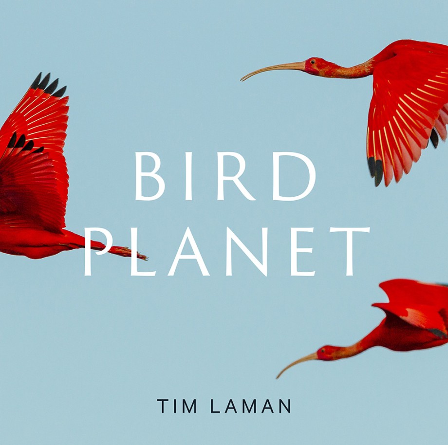 Cover for Bird Planet A Photographic Journey