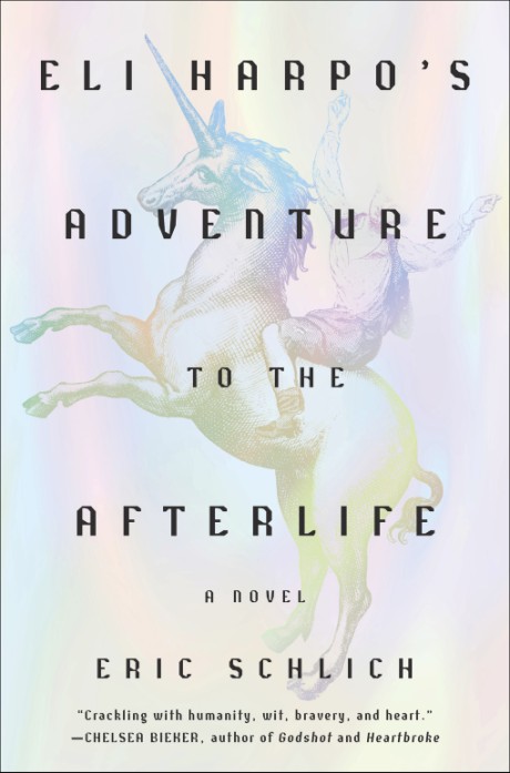 Cover image for Eli Harpo's Adventure to the Afterlife A Novel