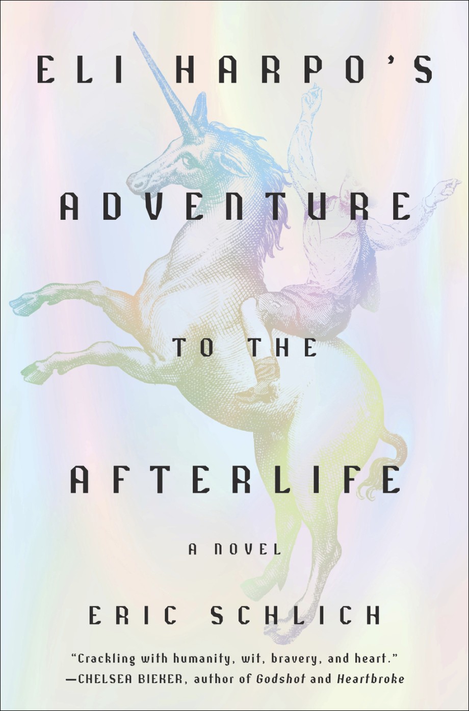 Eli Harpo's Adventure to the Afterlife A Novel