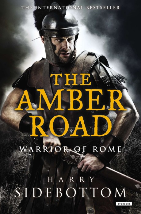 Cover image for Amber Road Warrior of Rome: Book 6