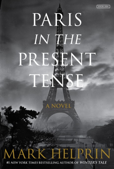 Cover image for Paris in the Present Tense A Novel