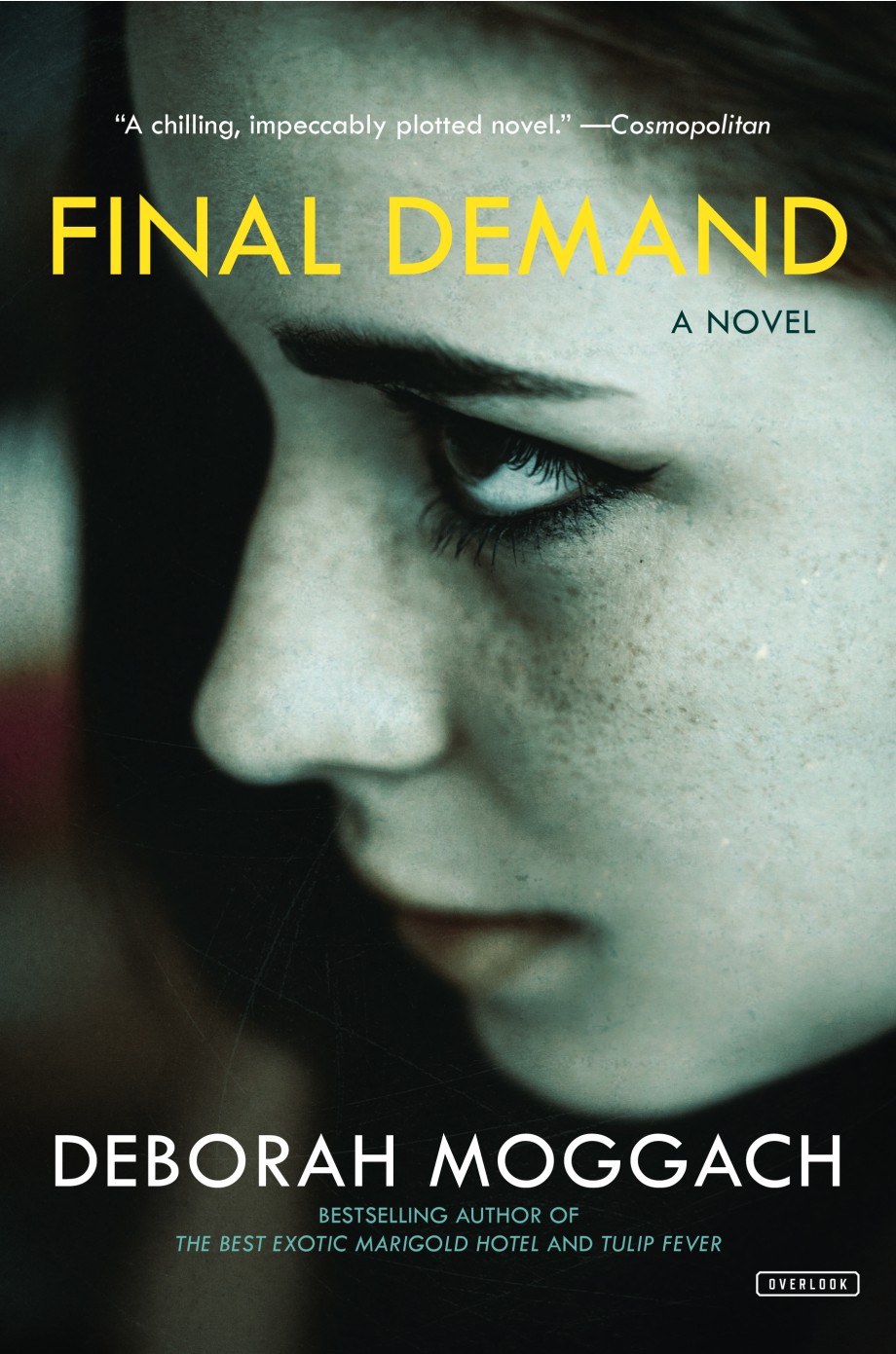 Cover for Final Demand A Novel
