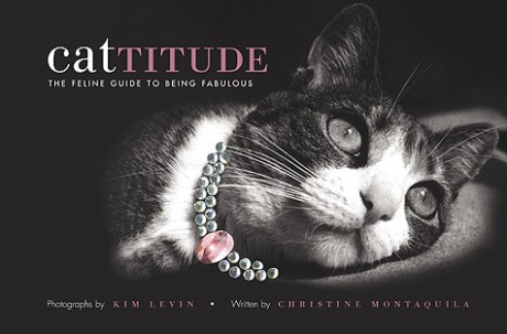 Cover image for Cattitude A Feline Guide to Being Fabulous