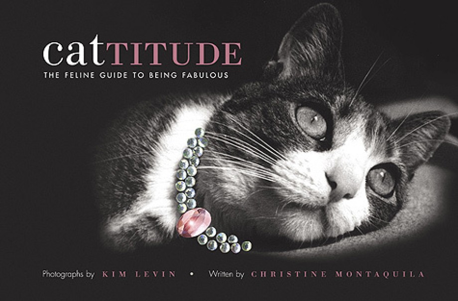 Cover for Cattitude A Feline Guide to Being Fabulous