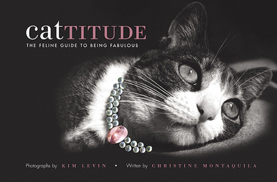 Cattitude A Feline Guide to Being Fabulous