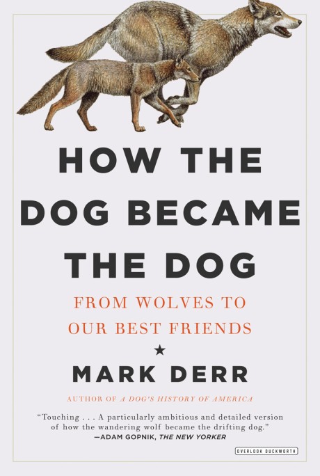 Cover image for How the Dog Became the Dog From Wolves to Our Best Friends