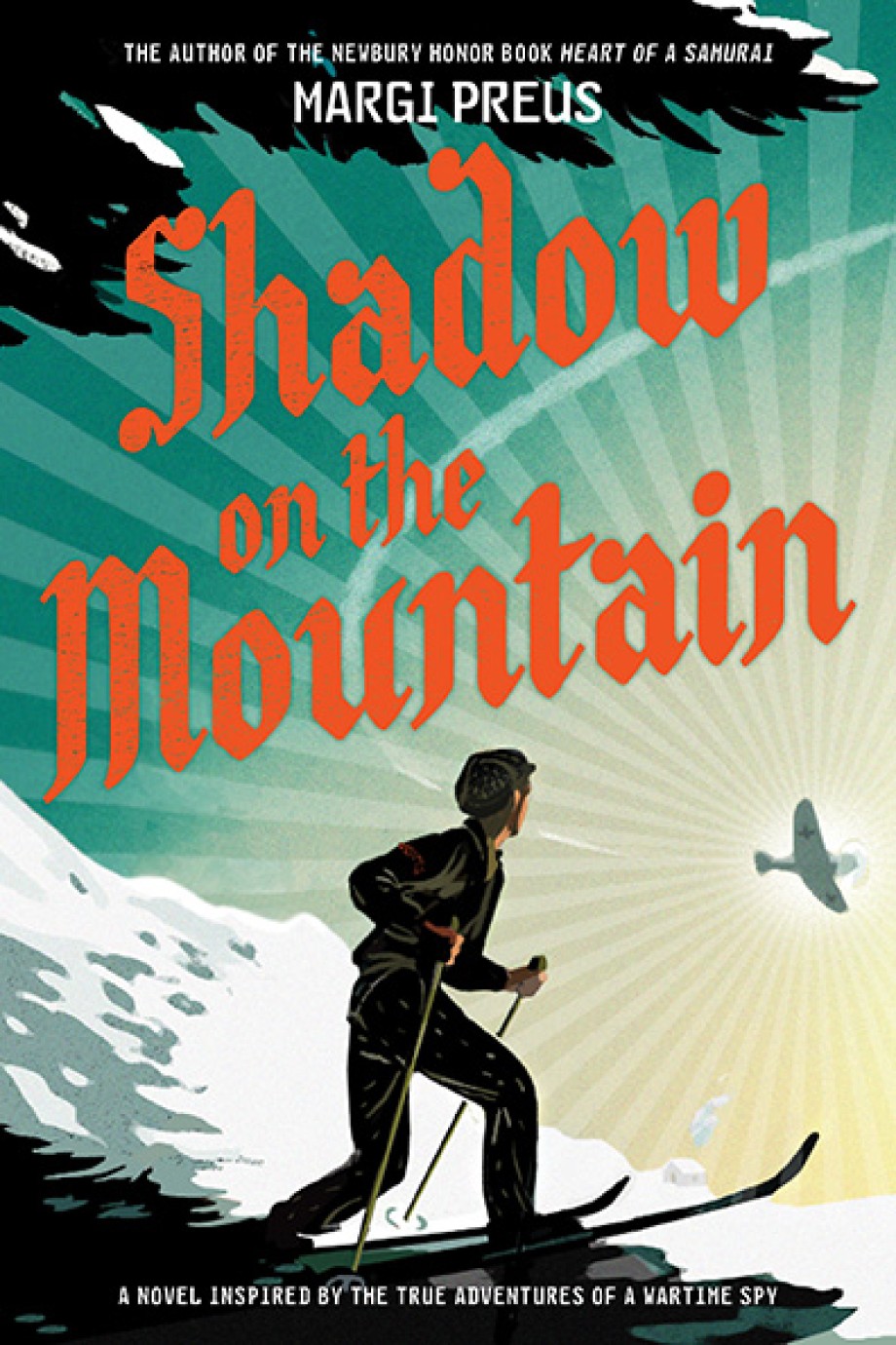 Cover for Shadow on the Mountain