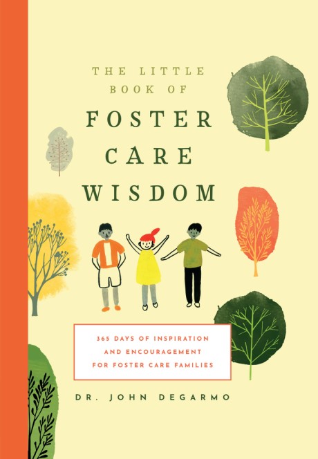 Cover image for Little Book of Foster Care Wisdom 365 Days of Inspiration and Encouragement for Foster Care Families