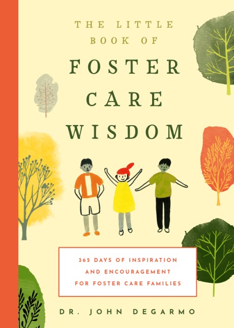 Cover image for Little Book of Foster Care Wisdom 365 Days of Inspiration and Encouragement for Foster Care Families