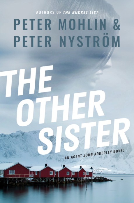 Cover image for Other Sister An Agent John Adderley Novel