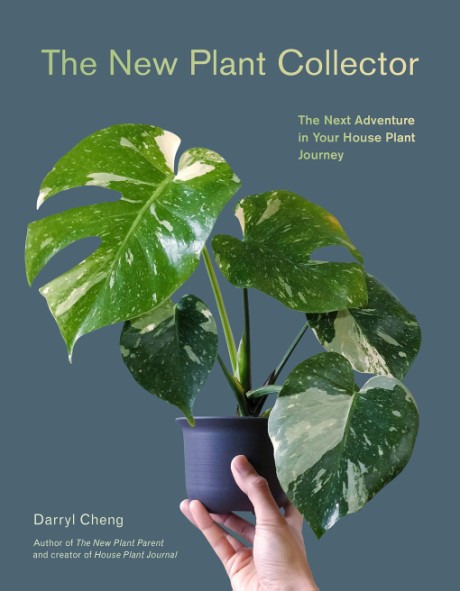 Cover image for New Plant Collector The Next Adventure in Your House Plant Journey