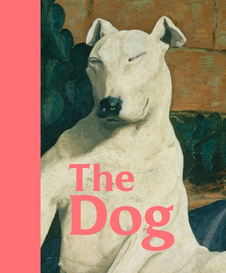 Cover image for Dog 