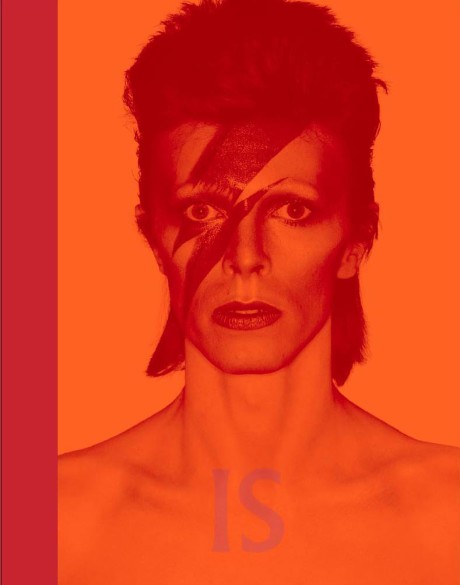 Cover image for David Bowie Is 