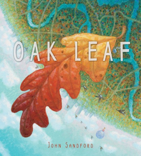 Cover image for Oak Leaf A Picture Book