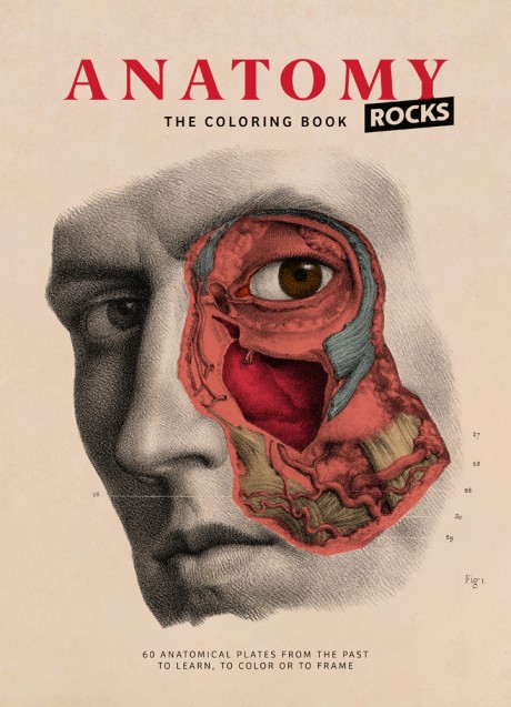 Cover image for Anatomy Rocks The Coloring Book