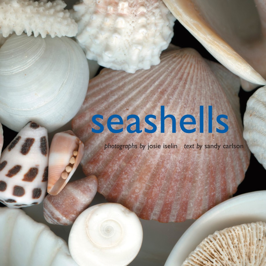 Cover for Seashells Photographs