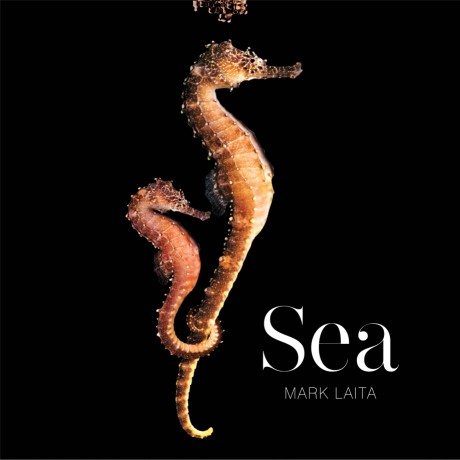 Cover image for Sea 