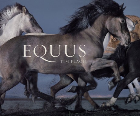 Cover image for Equus (Mini) 
