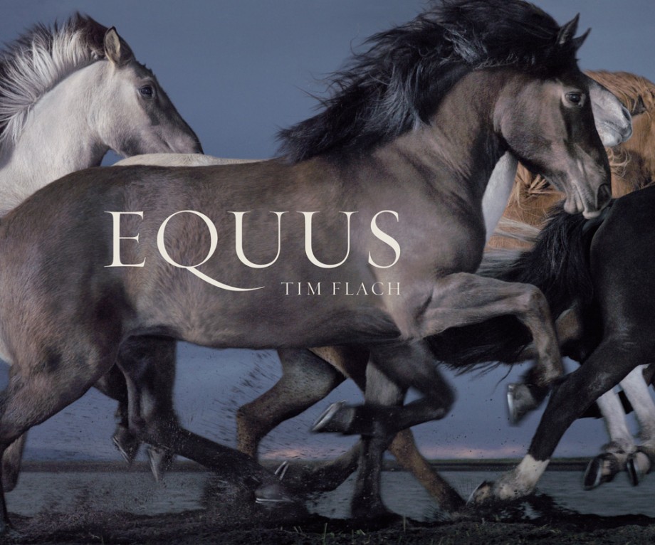 Equus (Mini) 