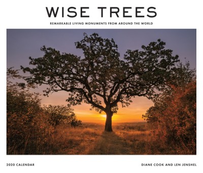Wise Trees 2020 Wall Calendar Remarkable Living Monuments from Around the World