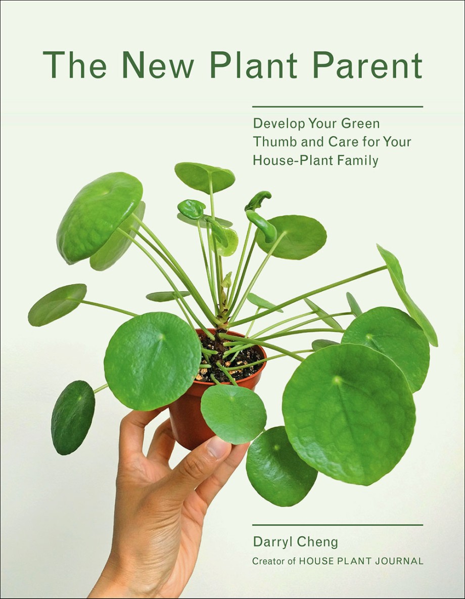 New Plant Parent Develop Your Green Thumb and Care for Your House-Plant Family