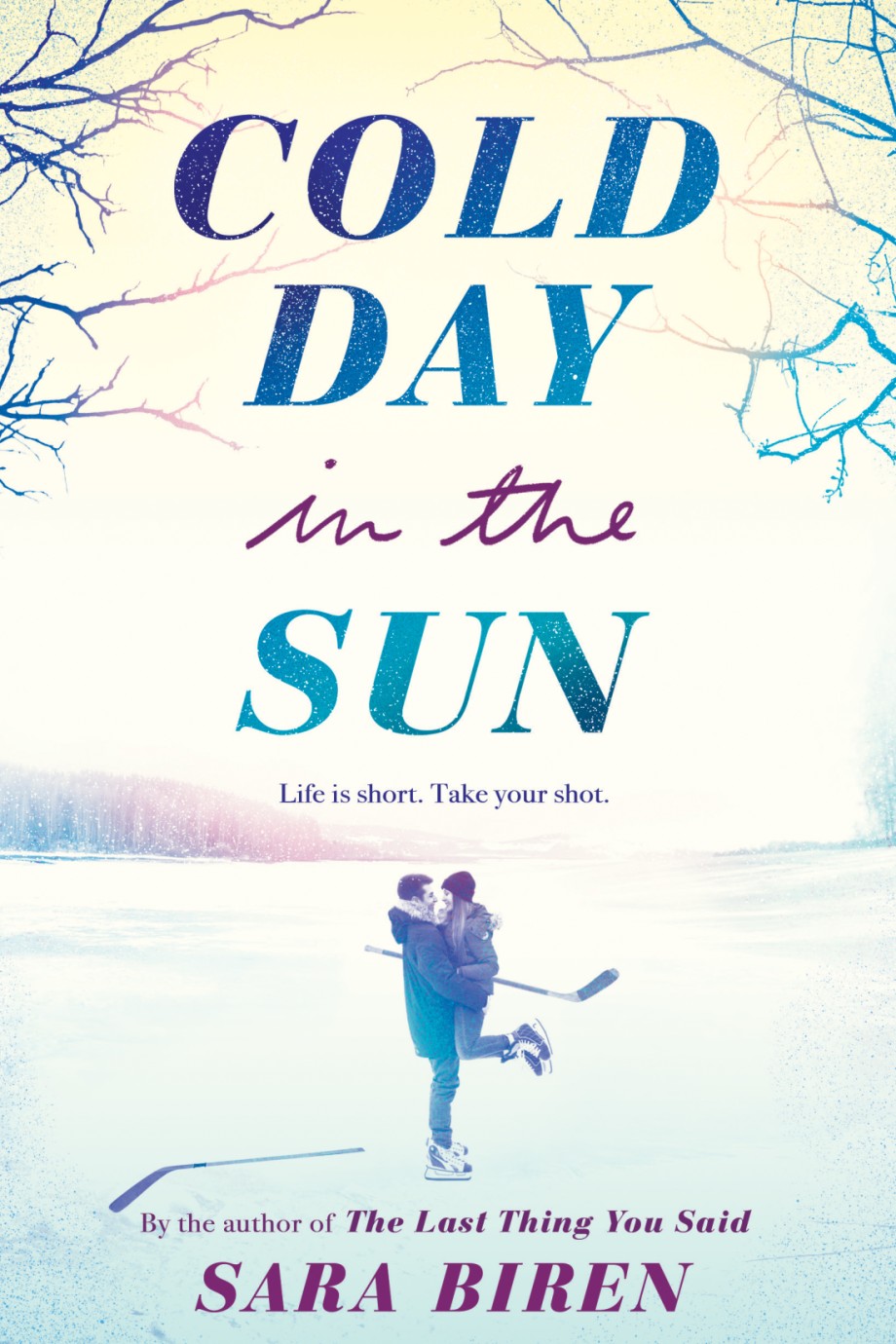 Cover for Cold Day in the Sun
