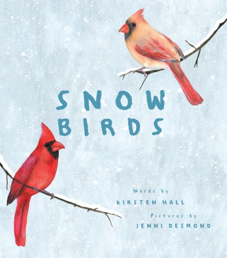 Cover image for Snow Birds A Picture Book